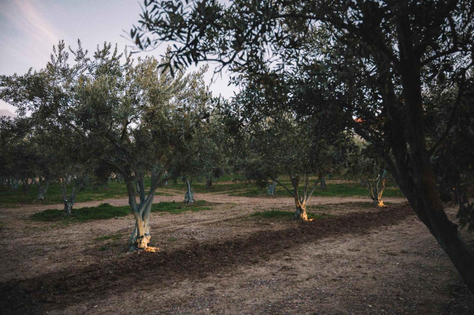 Od Urla Misafirhane Extérieur photo
